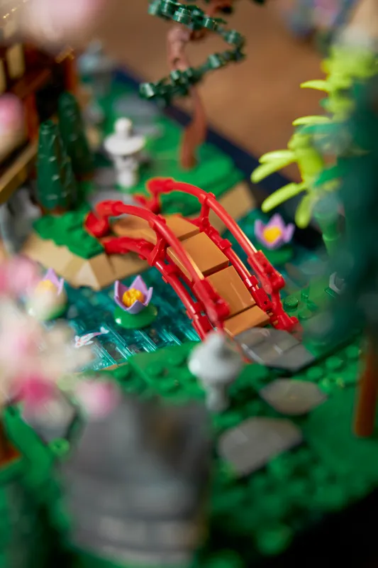 Tranquil Garden