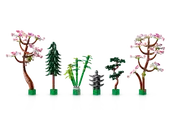 Tranquil Garden