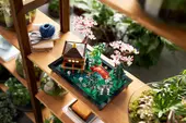 Tranquil Garden