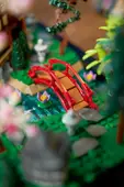 Tranquil Garden
