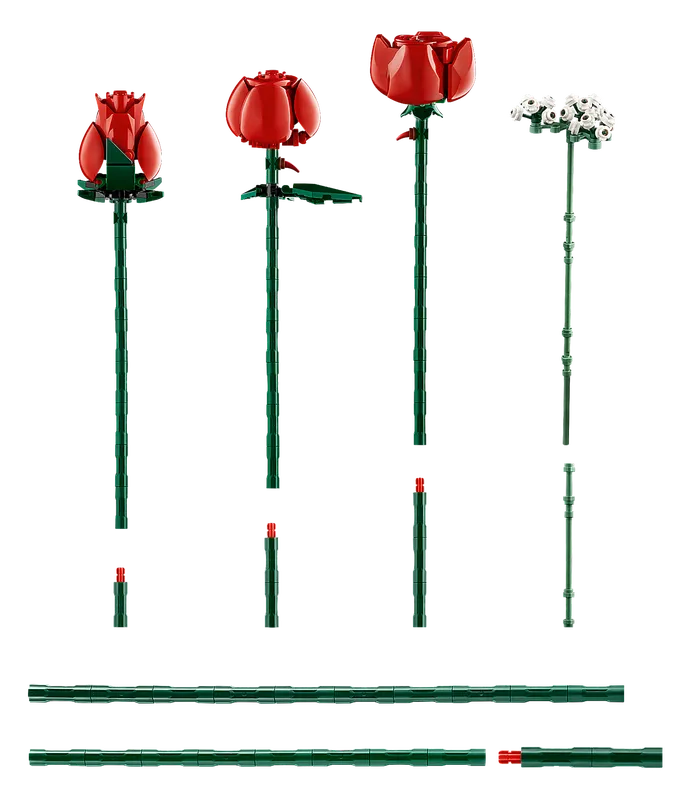 Bouquet of Roses