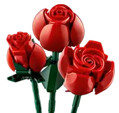 Bouquet of Roses