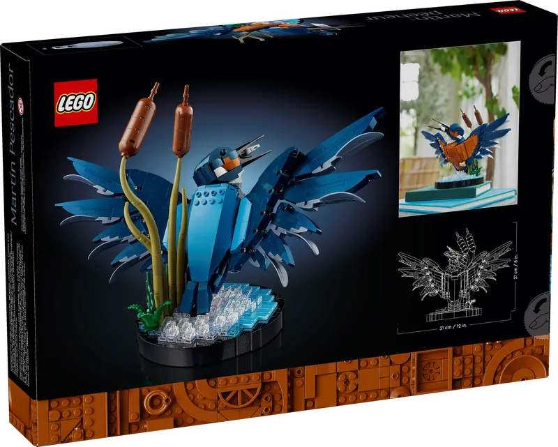 Kingfisher Bird