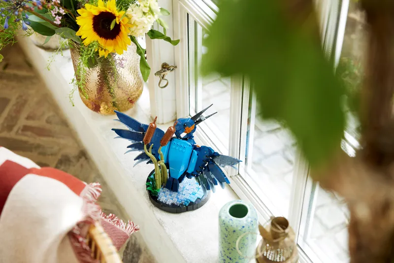 Kingfisher Bird