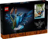 Kingfisher Bird