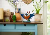 Kingfisher Bird