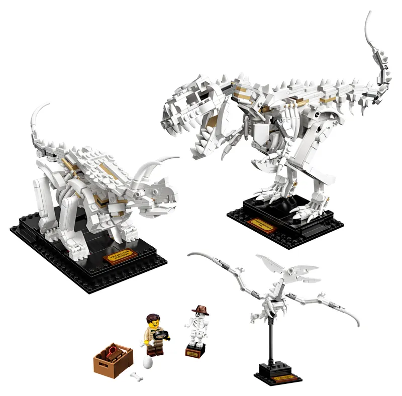 Dinosaur Fossils