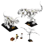 Dinosaur Fossils