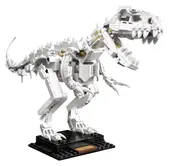 Dinosaur Fossils