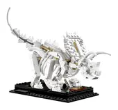 Dinosaur Fossils
