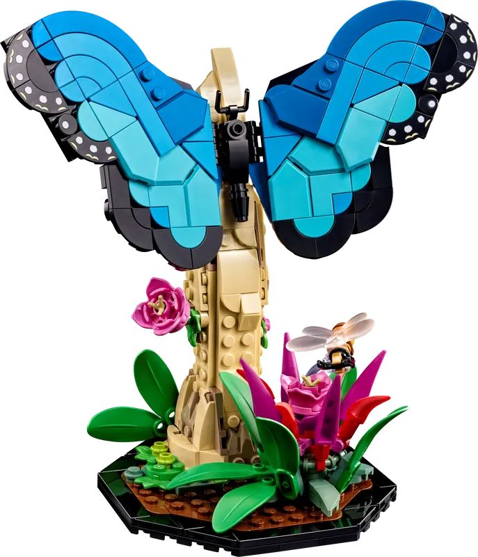 The Insect Collection