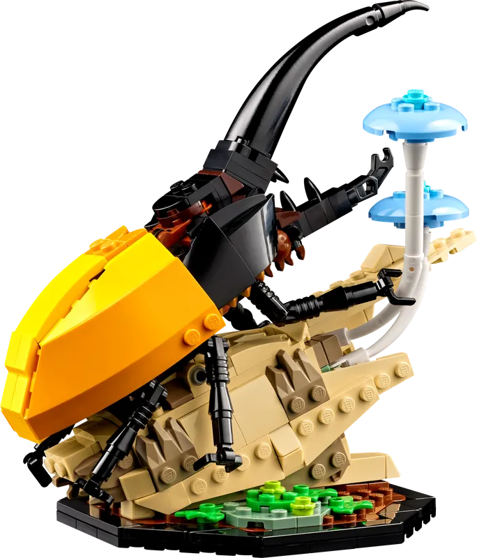 The Insect Collection