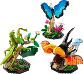 The Insect Collection