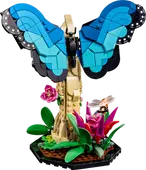 The Insect Collection
