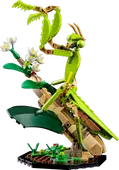 The Insect Collection