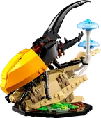 The Insect Collection