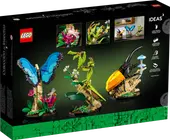 The Insect Collection