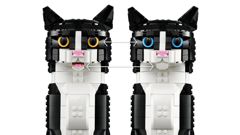 Tuxedo Cat
