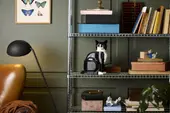 Tuxedo Cat
