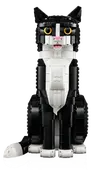 Tuxedo Cat