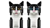 Tuxedo Cat