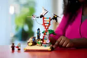 The Evolution of STEM
