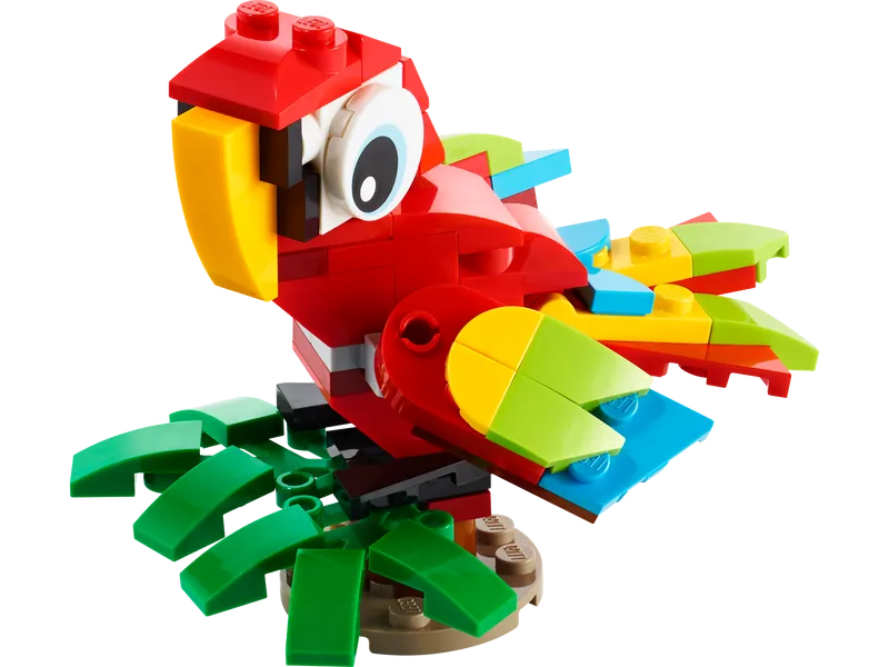 Tropical Parrot