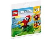 Tropical Parrot