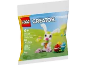 Easter Bunny with Colourful Eggs