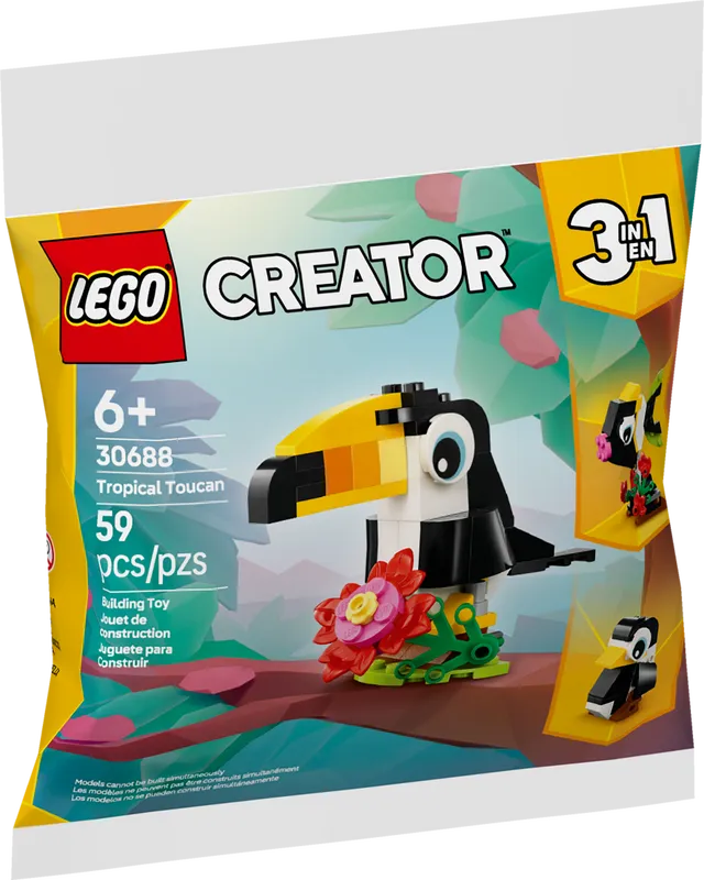Tropical Toucan