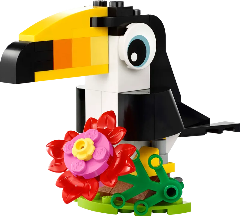 Tropical Toucan