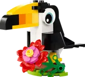 Tropical Toucan