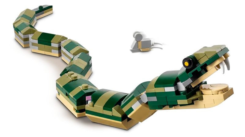 Crocodile