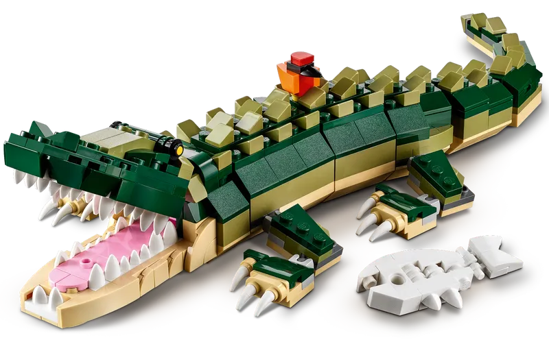 Crocodile