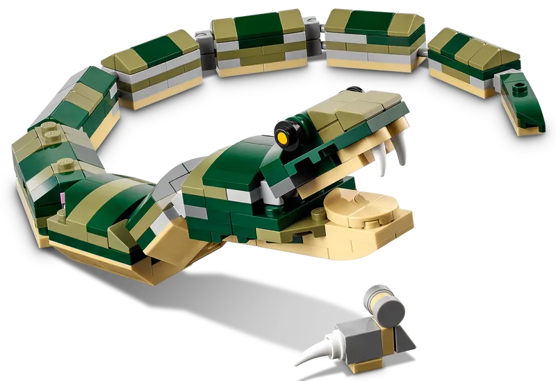 Crocodile