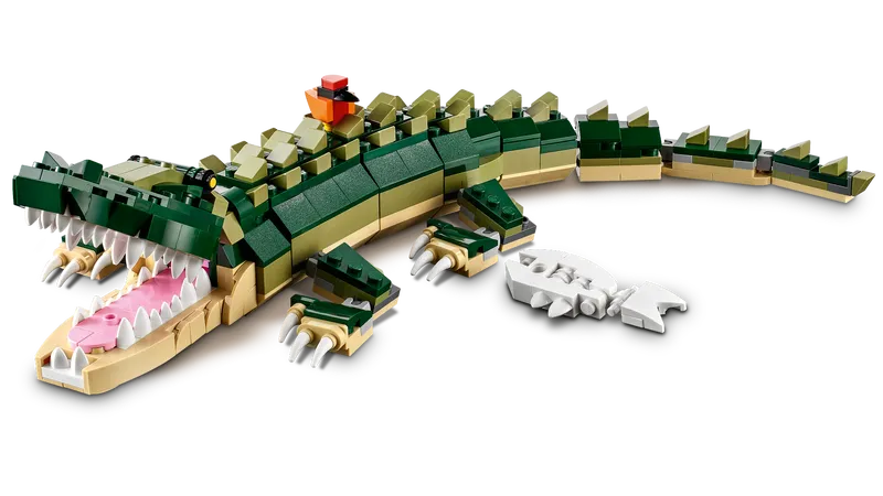 Crocodile