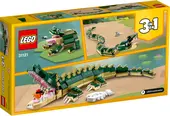 Crocodile