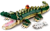 Crocodile