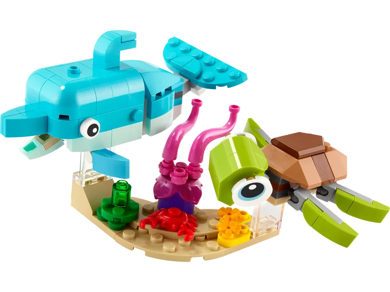Dolphin and Turtle