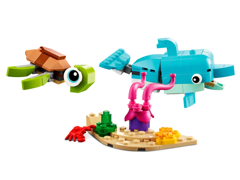 Dolphin and Turtle