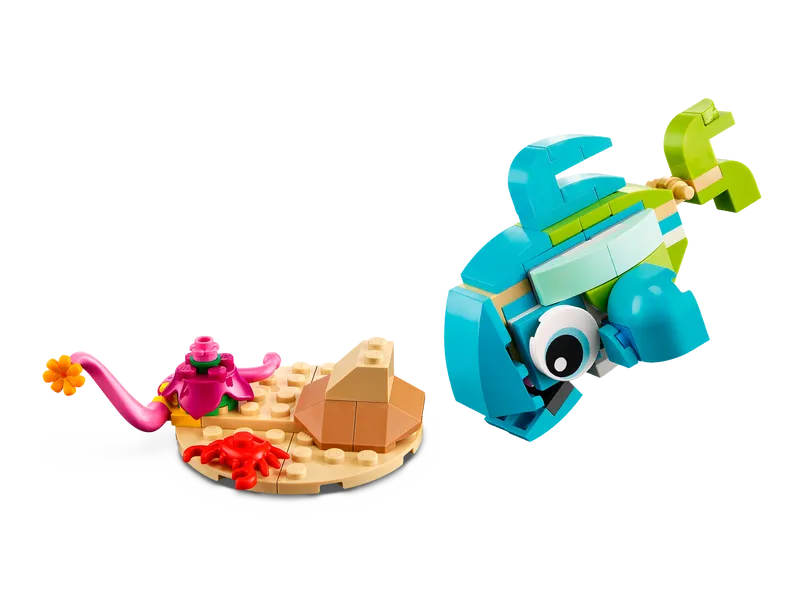Dolphin and Turtle