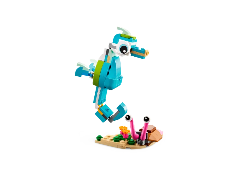 Dolphin and Turtle