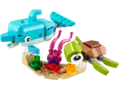 Dolphin and Turtle