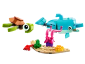 Dolphin and Turtle