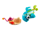 Dolphin and Turtle