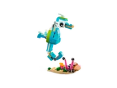 Dolphin and Turtle