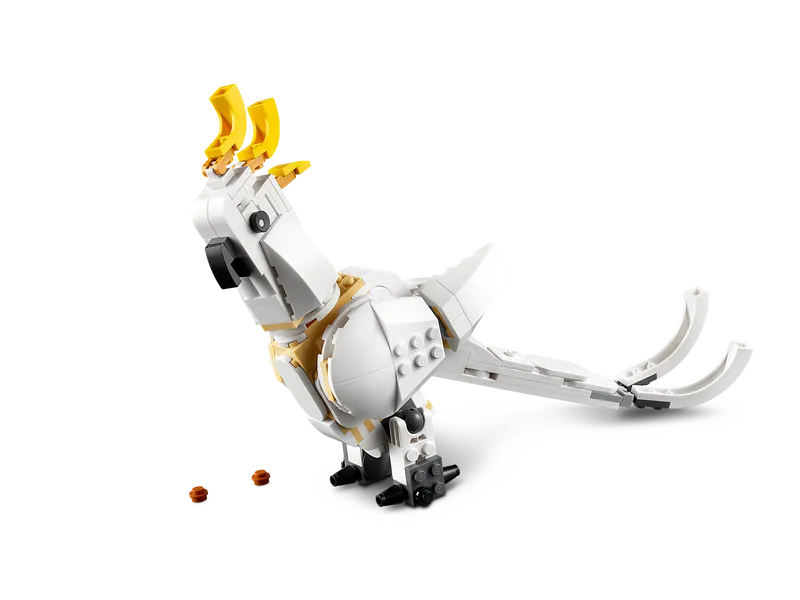 White Rabbit