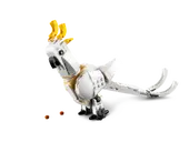 White Rabbit