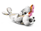White Rabbit