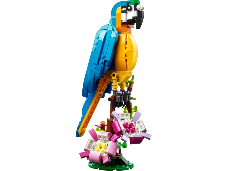 Exotic Parrot